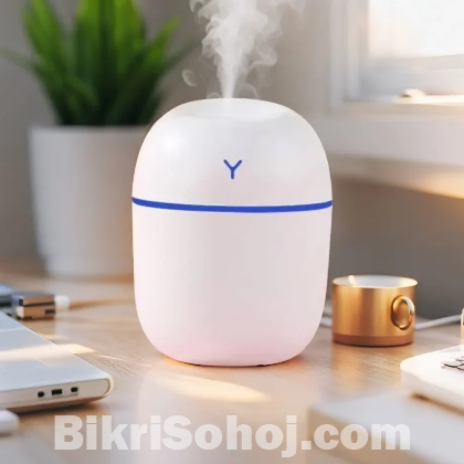 Colorful Egg Humidifier with Night Light